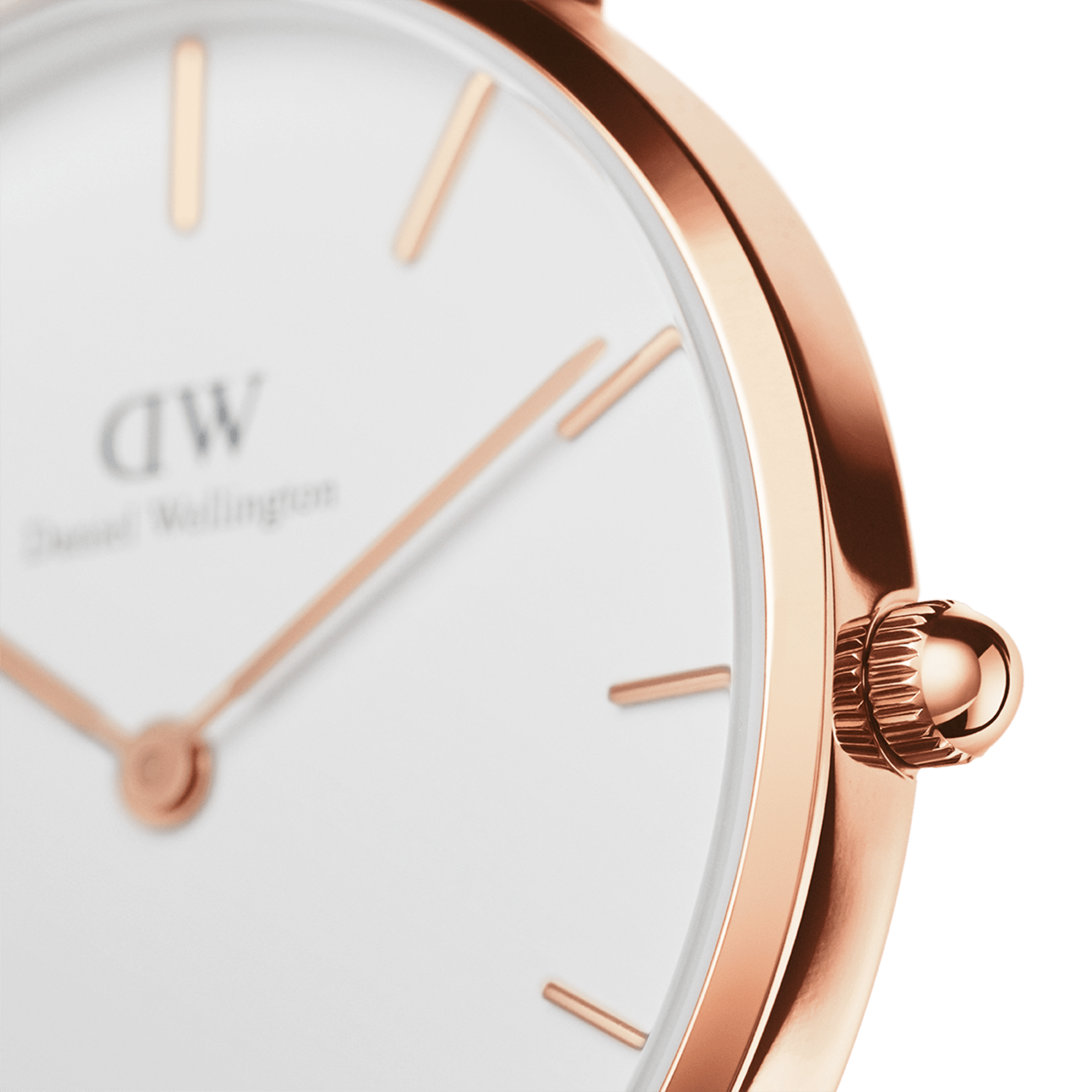 Daniel Wellington Petite Durham Ladies White Watch DW00100228-GR8 Sunglasses